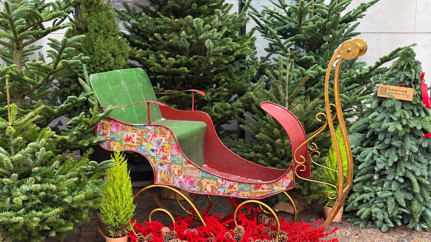 Sapins et traîneau de Noël à la boutique GOL